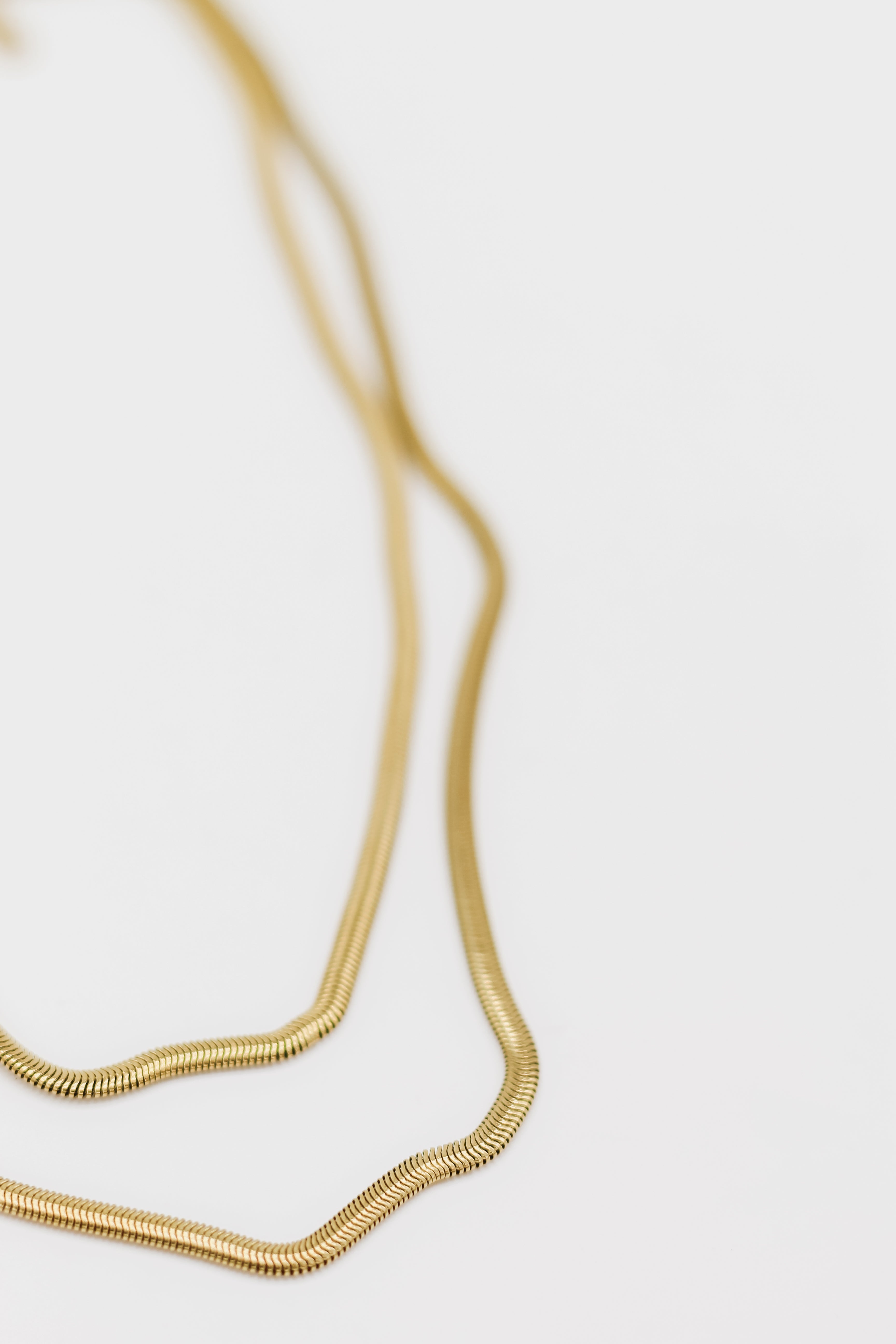 Double Snake Chain Necklace