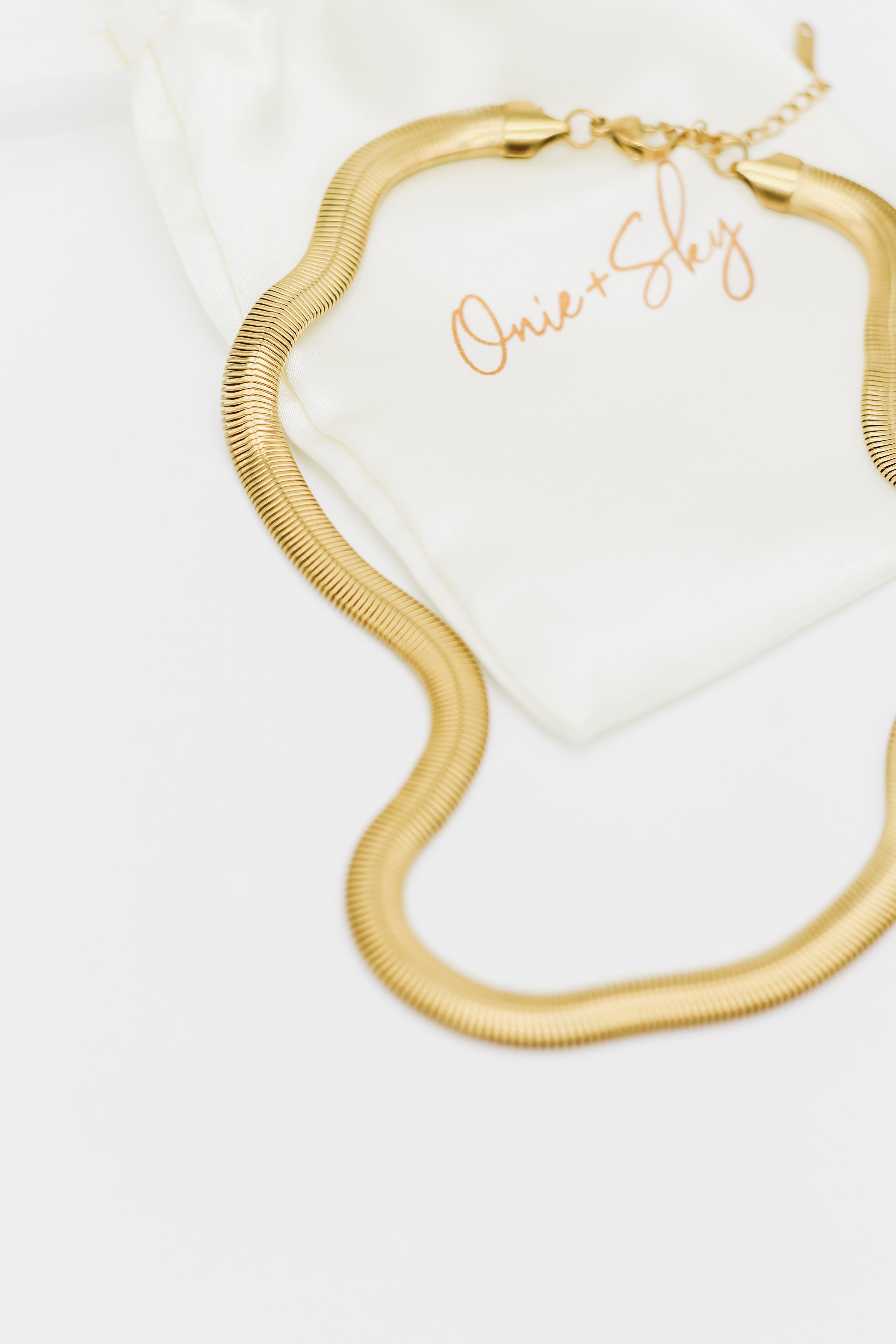 Big Snake Chain Necklace
