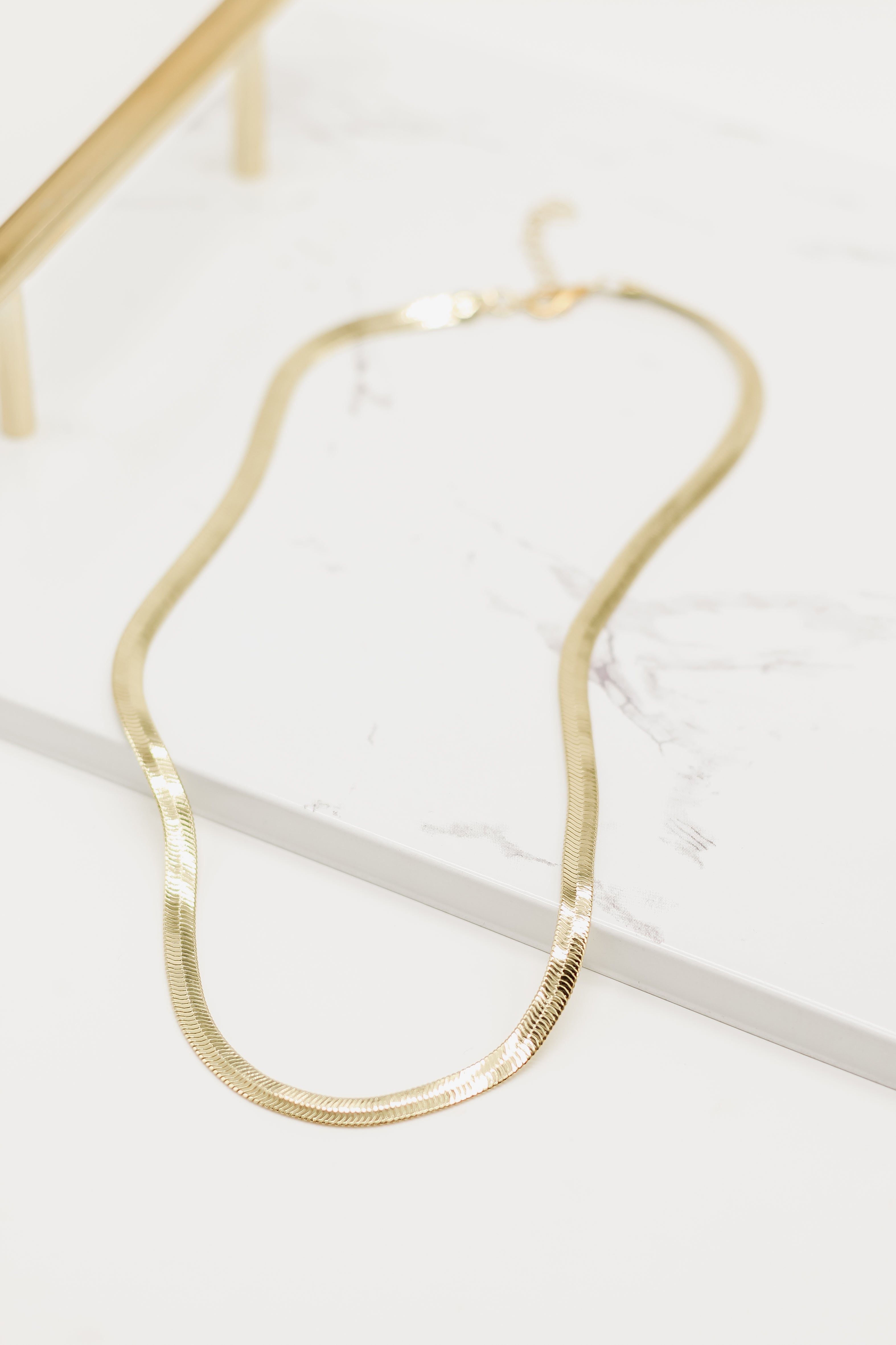 The Snake Chain Necklace